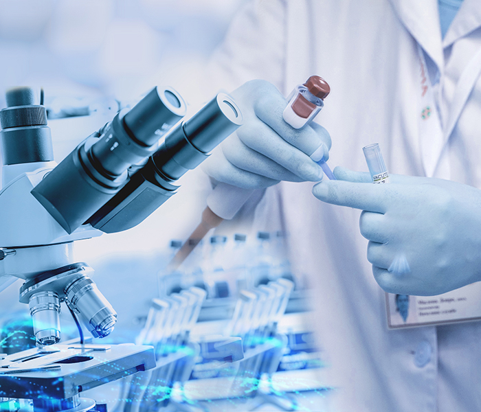 祝贺许昌峰飞新材料科技有限公司上线！